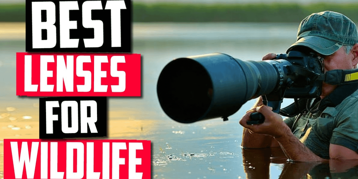 best lenses for wild life