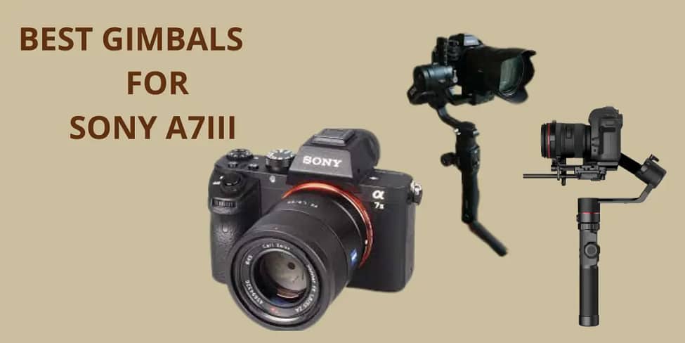 Best gimbals for Sony A7III